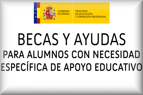 RESOLUCIÓN DEFINITIVA DE LAS BECAS Y  AYUDAS PARA LOS ALUMNOS CON NECESIDAD DE APOYO EDUCATIVO.