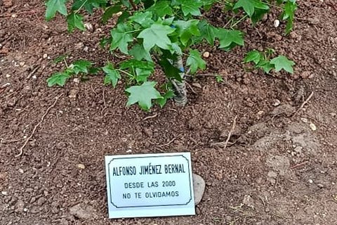 HOMENAJE A ALFONSO.