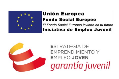 INICIATIVA DE EMPLEO JUVENIL.